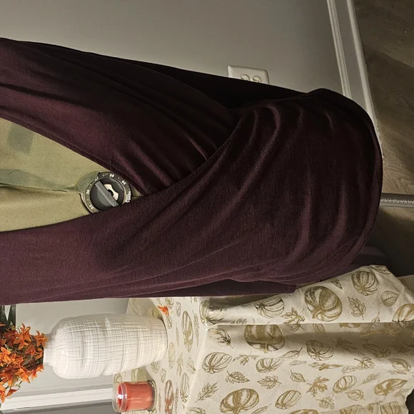 NWT 41 Hawthorn  Long Sleeve Rich Burgundy Top Sz. M - Picture 3 of 15